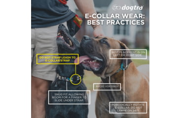 Image of Dogtra 1900X Remote Collar 1-Dog Unit