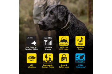 Image of Dogtra 1900X Remote Collar 1-Dog Unit