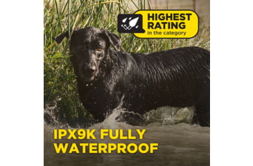 Image of Dogtra 1900X Remote Collar 1-Dog Unit