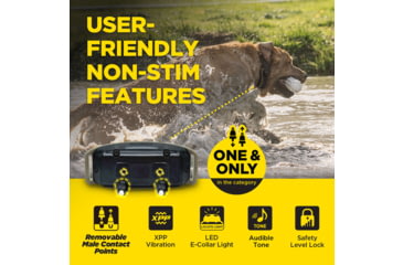 Image of Dogtra 1900X Remote Collar 1-Dog Unit