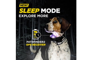 Image of Dogtra Pathfinder2 Additional Receiver