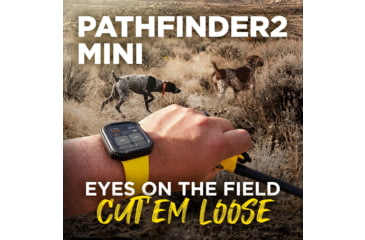 Image of Dogtra Pathfinder2 Mini Wireless Collar