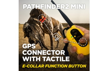 Image of Dogtra Pathfinder2 Mini Wireless Collar
