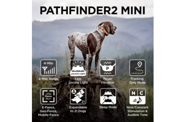 Image of Dogtra Pathfinder2 Mini Wireless Collar
