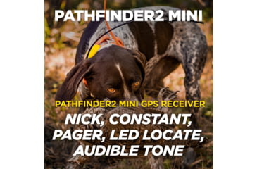 Image of Dogtra Pathfinder2 Mini Wireless Collar