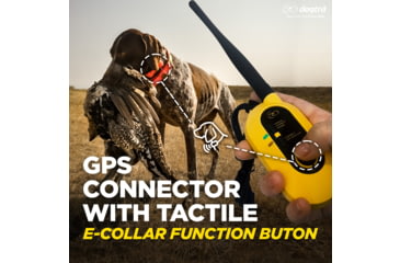 Image of Dogtra Pathfinder2 Wireless Collar