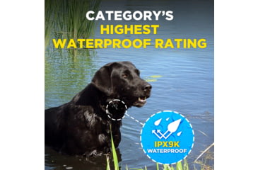 Image of Dogtra Smart Nobark Collar