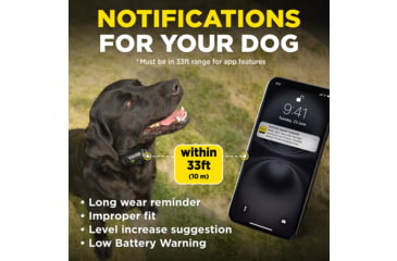 Image of Dogtra Smart Nobark Collar