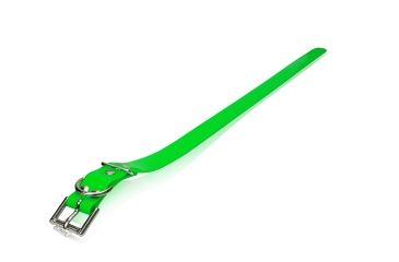 Image of Dogtra EDGE RT Additional Training Collar, Green, EDGE RT ADD. RX GREEN