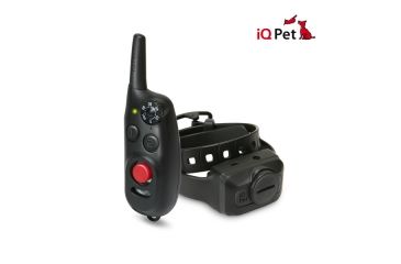 Image of Dogtra iQ-CLiQ Training Collar, Black iQ-CLiQ BLACK