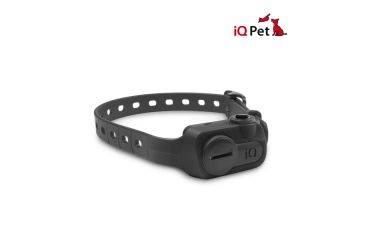 Image of Dogtra iQ NO BARK Training Collar, Black iQ NO BARK BLACK