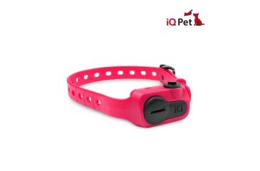 Image of Dogtra iQ NO BARK Training Collar, Pink iQ NO BARK PINK