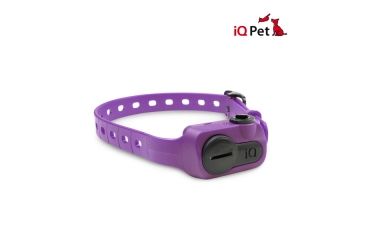 Image of Dogtra iQ NO BARK Training Collar, Purple iQ NO BARK PURPLE