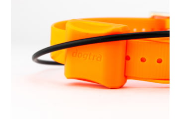 Image of Dogtra Pathfinder, Orange, PATHFINDER TRX RX ORANGE