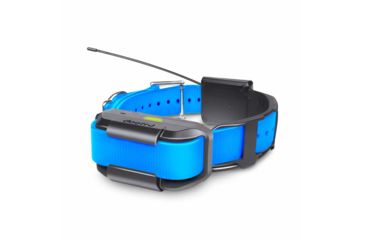 Image of Dogtra Pathfinder Trx Rx, Blue, PATHFINDER TRX RX BLUE