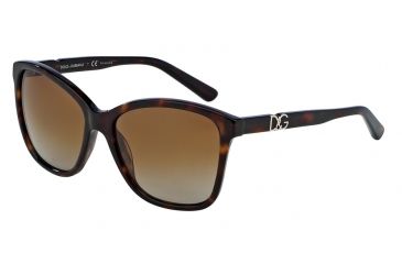 Image of Dolce&amp;Gabbana ICONIC LOGO DG4170P Sunglasses 502/T5-57 - Transparen Havana Frame, Polar Brown Gradient Lenses