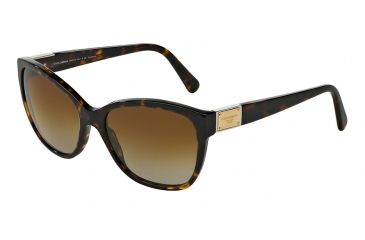 Image of Dolce&amp;Gabbana LOGO PLAQUE DG4195 Sunglasses 502/T5-56 - Havana Frame, Polar Brown Gradient Lenses