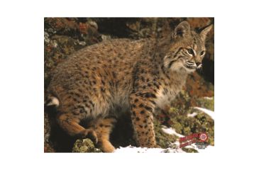 Image of DuraMesh Archery Target Bobcat, 25 in. x 32 in., Brown 1001413