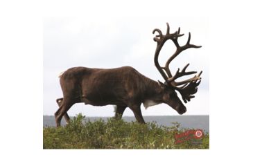Image of DuraMesh Archery Target Caribou, 25 in. x 32 in., Brown 1001414