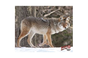 Image of DuraMesh Archery Target Coyote, 25 in. x 32 in., Grey 1001415