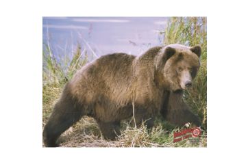 Image of DuraMesh Archery Target Grizzly Bear, 25 in. x 32 in., Brown 1001412