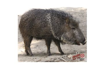 Image of DuraMesh Archery Target Javelina, 25 in. x 32 in., Black 1001416