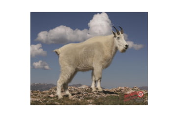 Image of DuraMesh Archery Target Mountain Goat, 25 in. x 32 in., White 1001419