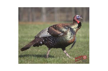 Image of DuraMesh Archery Target Turkey, 25 in. x 32 in., Black 1001417