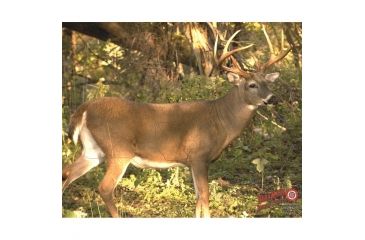 Image of DuraMesh Archery Target, Whitetail 3 25 in. x 32 in. DM221