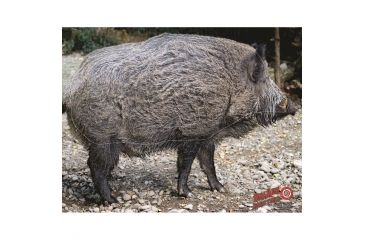 Image of DuraMesh Archery Target, Wild Boar 25 in. x 32 in. DM200
