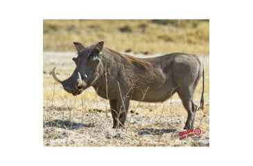 Image of DuraMesh Archery Target Warthog 25 in. x 32 in.