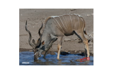 Image of DuraMesh Archery Target Kudu 25 in. x 32 in.