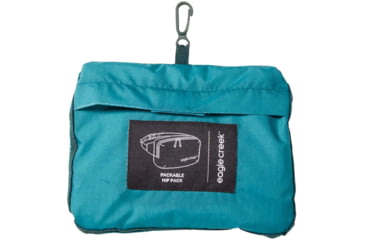 Image of Eagle Creek Packable Waist Bag, Arctic Seagreen, EC0A5EJX341OS