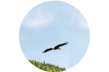 Image of view without extender