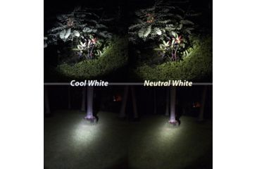 Image of Eagtac MX25L3C  Flashlight Kit, 6 Nichia 219B CRI-92 LED, 2550lm, Black 1868