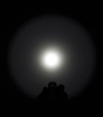 Image of Eagtac P100A2  Flashlight Kit, XP-G2 S2 CW LED, 360lm, Black 3942