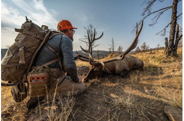 Image of Eberlestock Batwing Pouch, Military Green, A6SBMJ