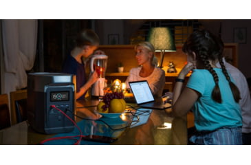 Image of EcoFlow 1000 DELTA Portable Power Station, Black/Grey, EFDELTA1000-AM