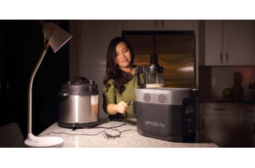 Image of EcoFlow DELTA 1300 w/ 1 Solar Panel, 220W, Black, DELTA1300-MS430-US