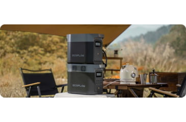 Image of EcoFlow DELTA 2 w/ 1 Portable Solar Panel, 220W, Black, DELTA2-220W