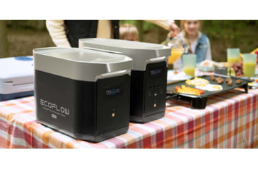 Image of EcoFlow DELTA Max 1600 w/1 Solar Panel, 160W, Black, DELTAMax1600US161