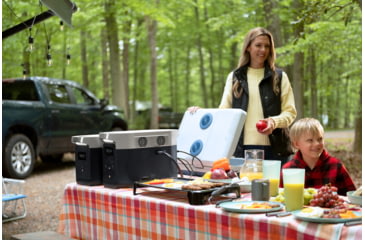 Image of EcoFlow DELTA Max 2000 Bundle w/One Extra Battery, Black, DELTAMax2000-DELTAMaxEB-US