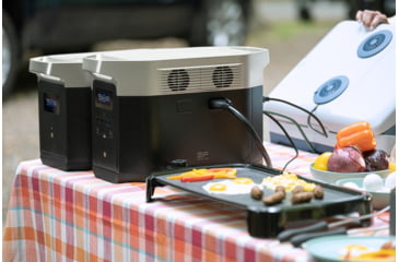 Image of EcoFlow DELTA Max 2000 Bundle w/One Extra Battery, Black, DELTAMax2000-DELTAMaxEB-US