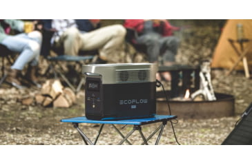 Image of EcoFlow DELTA Mini w/ 1 Solar Panel, 110W, Black, DELTAminiUS111