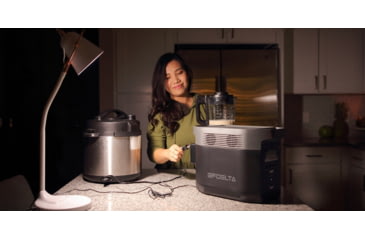 Image of EcoFlow DELTA Portable Power Station, Gray &amp; Black, 50004055