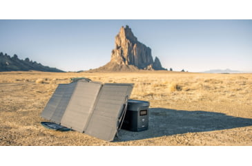 Image of EcoFlow DELTA Portable Power Station, Gray &amp; Black, 50004055