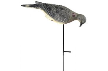 Image of Edge Expedite Binocular Accessories 536087