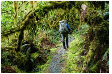 Image of Exped Expedition 80, Olive Grey, 7640147768864