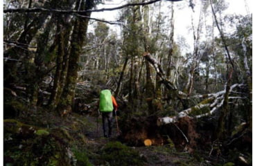 Image of Exped RainCover, Lime, Medium, 7640147762503