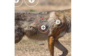 Image of EZ-Aim Allen Paper Four Color Coyote Target, 25X35, 15284